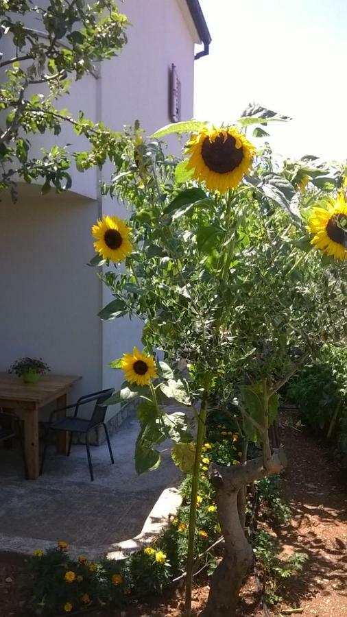 Apartment Anny PUY Exterior foto